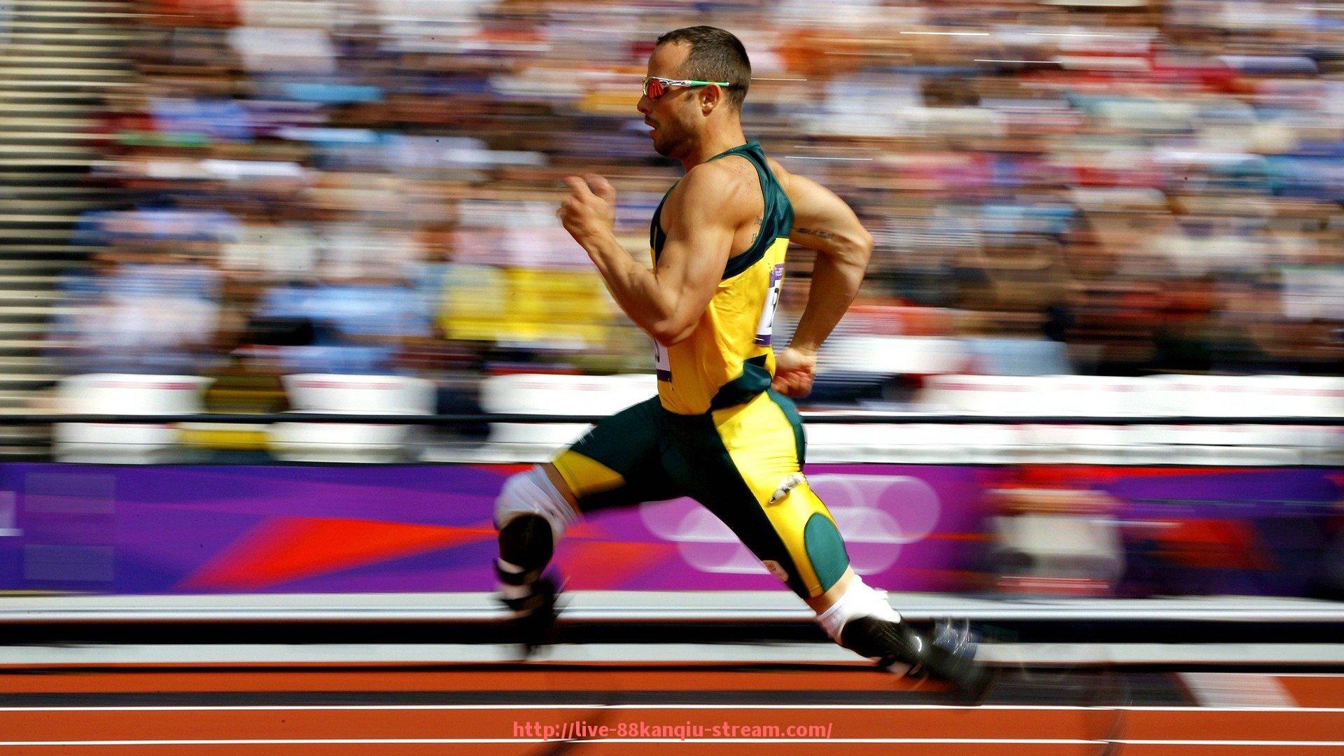 88看球网-澳门康乐佳健身器材市场现状及用户评价